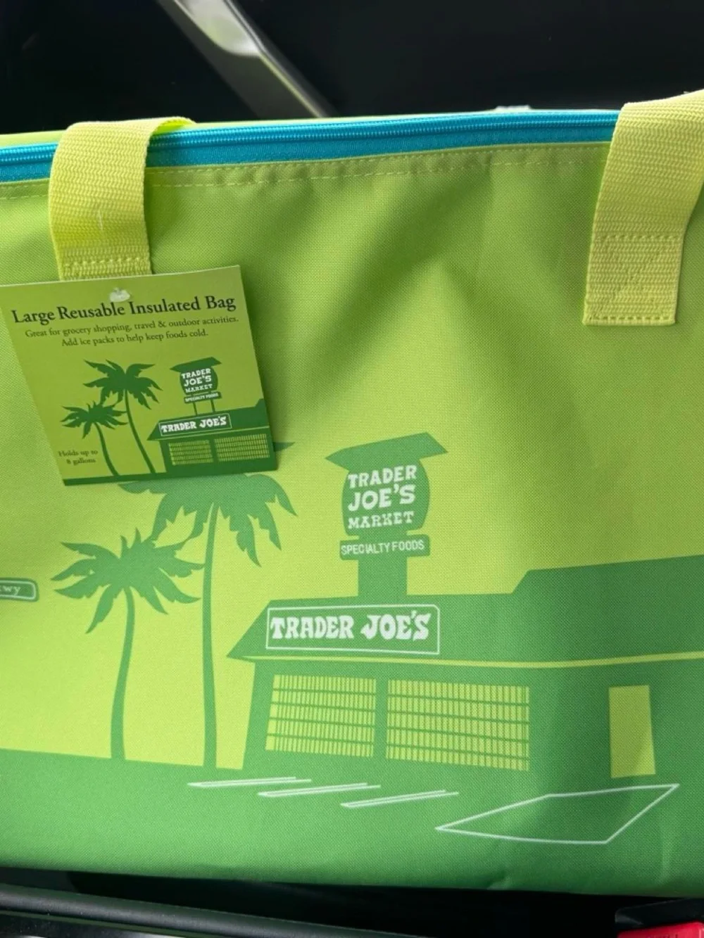 Trader Joe’s large insulated tote